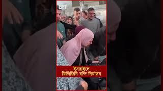 ই স রা ই লে ফিলিস্তিনি ব ন্দি নি র্যা ত ন