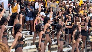 ASU Stingettes “Is It A Crime” HC ‘24 