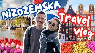 Nizozemska vlog