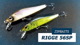 ZipBaits Rigge 56SP - Neue Farben 2024 - Nippon Tackle Produkt Update