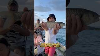 Fishing in The Ohrid Lake, Macedonia #fishing #ohrid #macedonia #familytrip #moment #happy #행복 #낚시