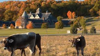 Visit Shelburne Farms in Vermont, Where Sustainability and Cheesemaking Rule