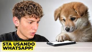 Insegno al mio CANE ad usare WhatsApp.. (spoiler: Funziona!)