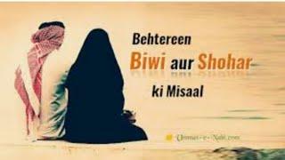 {shohar aur Biwi ki misaal}.          Mufti musaddiq ahamd Saheb qasmi m a