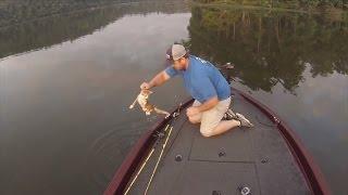 Watch a Fisherman Catch and Rescue Two Kittens Swimming in River