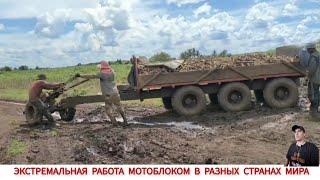 ЭТО ВАМ НЕ КИТАЙ , ЭКСТРЕМАЛЬНАЯ РАБОТА МОТОБЛОКОМ, ПОДБОРКА/ WHAT CAN A MINI TRACTOR, COMPILATION