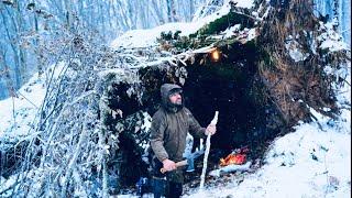 Surviving a Snowstorm and Severe Blizzard: Building a Shelter Under a Fallen Tree in -21°C