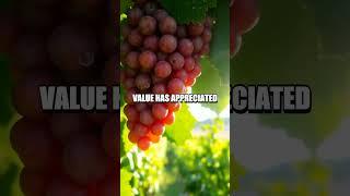 The Secretive World of Luxury Wine Investments