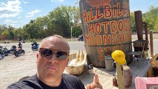 HILLBILLY HOTDOGS a Roadside Attraction for your Stomach