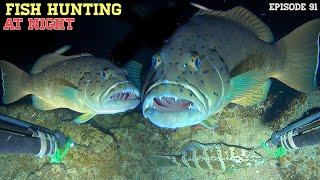 NIGHT SPEARFISHING EPISODE 91 | FISH HUNTING AT NIGHT