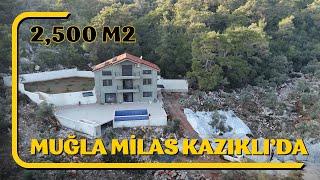 MUĞLA MİLAS KAZIKLI’da Doğa 2,500 dönüm içimde 4+1 Tripleks eşyalı Malikene keyfinde BENZERSİZ#milas