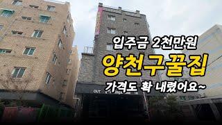 [양천구신축빌라](No.9014) 양천구 꿀집! 가격도 확 내려서 앞자리가 바뀌었다는데요? 딱 1세대 입주금 2천만원으로 가능해요~ 서울 양천구 신월동 [신월동신축빌라]