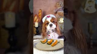 Ximai Puppy Likes to Eat Delicious Food - Team Puppies - Cute pet ep80 - #puppies #puppy #dog #cute