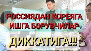 РОССИЯДАН КОРЕЯГА ИШГА БОРИШНИ ХОХЛАЙСИЗМИ.!!??МИГРАНТЛАР УЧУН ЯНГИЛИК