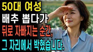 50대 여성 배추밭에 일하러갔다가 넘어지는 순간 충격반전  l 노후인생ㅣ노후지혜ㅣ황혼연애ㅣ노후사연ㅣ오디오북 | 감동실화