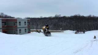 Thestangwhip