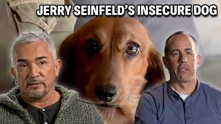 Jerry Seinfeld Has Dog Problems! | Cesar 911 Season 3, Ep. 4 - Part 1