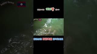 [  라오스 여행 ](ep. )루앙프라방 꽝시폭포 (닥터피쉬)
