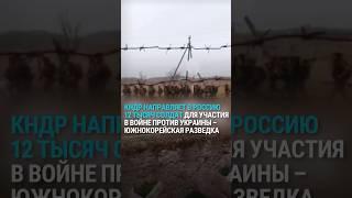 Военные из КНДР прибыли в Россию для участия в войне против Украины