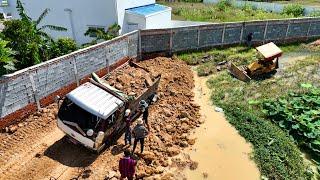 Start New Project Landfill Clear Flooded Soil ! Bulldozer Push Soil Cover Truck fail Drive Unloading