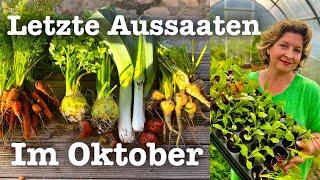 #58 Der Garten im Oktober ‍ Letzte Pflanzungen, Aussaaten und Vorbereitungen für den Winter 