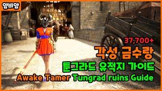 BDO) 각성 금수랑 툰그라드 유적지 가이드┃Awakening Tamer Tungrad ruins Guide (37,700+@)