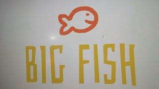 the big fish a stop motion studio film