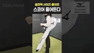 요즘 골퍼 필수템, 하프백!