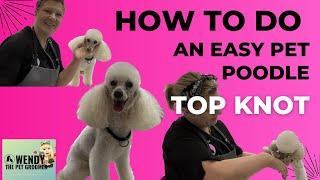 Perfect Poodle Top Knot Tutorial: Step-By-Step Guide For Pet Grooming | WendysPetSalon.co.uk