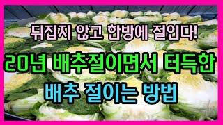 김치공장 납품도 해보고 20년 배추절임 하면서 터득한 뒤집지 않고 바닷물로 한방에 김장 배추 절이는 방법 !!