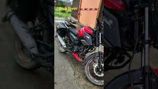bick lover,️