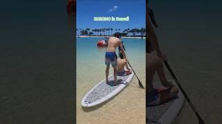 #Hawaii #Bigisland #waikiki #northshore #hiltonhawaiianvillage #hiltonwaikoloavillage #kingsland