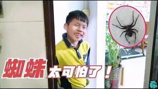 9岁小男孩还怕蜘蛛，吓到不敢去洗澡，妈妈拿个拖把帮忙【希乐同学】