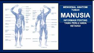 Mengenal Anatomi Tubuh Pria dan Wanita