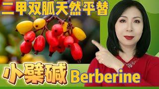 小檗碱Berberin，二甲双胍天然替代品，降糖降脂抗癌抗衰老一样不少，但副作用更小