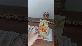 فال متانویا - انرژی خوانی روزانه