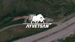 Ayvetsan Introduction Video - ENG.