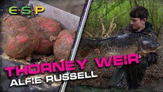 Fishing NATURALS AT THORNEY WEIR | Alfie Russell | Carp Fishing