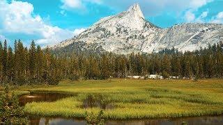 Cathedral Lakes and Roaming Yosemite's High Country