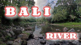 BALI, THE RIVER WITH NATURE | Bali walking tour | Bali today