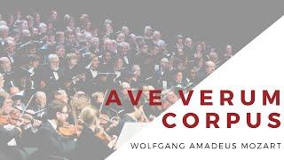 Ave Verum Corpus, K. 618 by W.A. Mozart // The Tallahassee Community Chorus