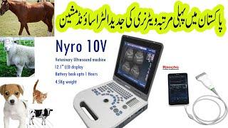 Ultrasound machine veterinary use II pet ultrasound machine II veterinary equipment Ii