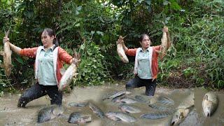 How to preserve fresh fish in the traditional way? - Harvesting super large fish