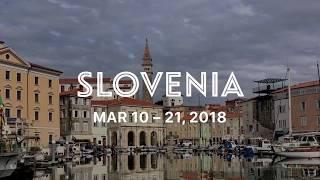 Travel Video