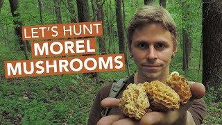 Let's Hunt Morel Mushrooms!