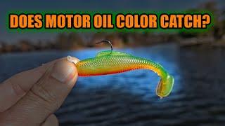 Does Motor Oil Color Swimbait Work? Z-Man MinnowZ 3"