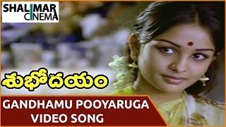 Subhodayam Movie || Gandhamu Pooyaruga Video Song || Chandra Mohan, Sulakshana || Shalimarcinema