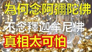 為什麼平時只念“阿彌陀佛”而不是念“釋迦牟尼佛”？釋迦牟尼佛和阿彌陀佛到底是什麼們關係？#因果#冤親債主#佛