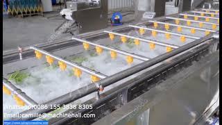 Ozone Fruit Vegetable Washing Cleaning Machine Drying  Line With Picking Belt