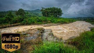 SCENIC BAREFOOT WALKING TRAILS NEAR ME - The Adventure to Meet Amazing Fast River Flow!